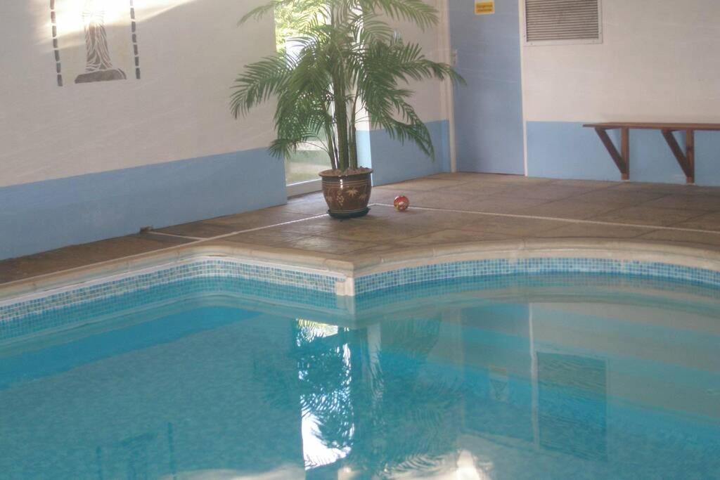Swift Cottage Broadhempston Экстерьер фото